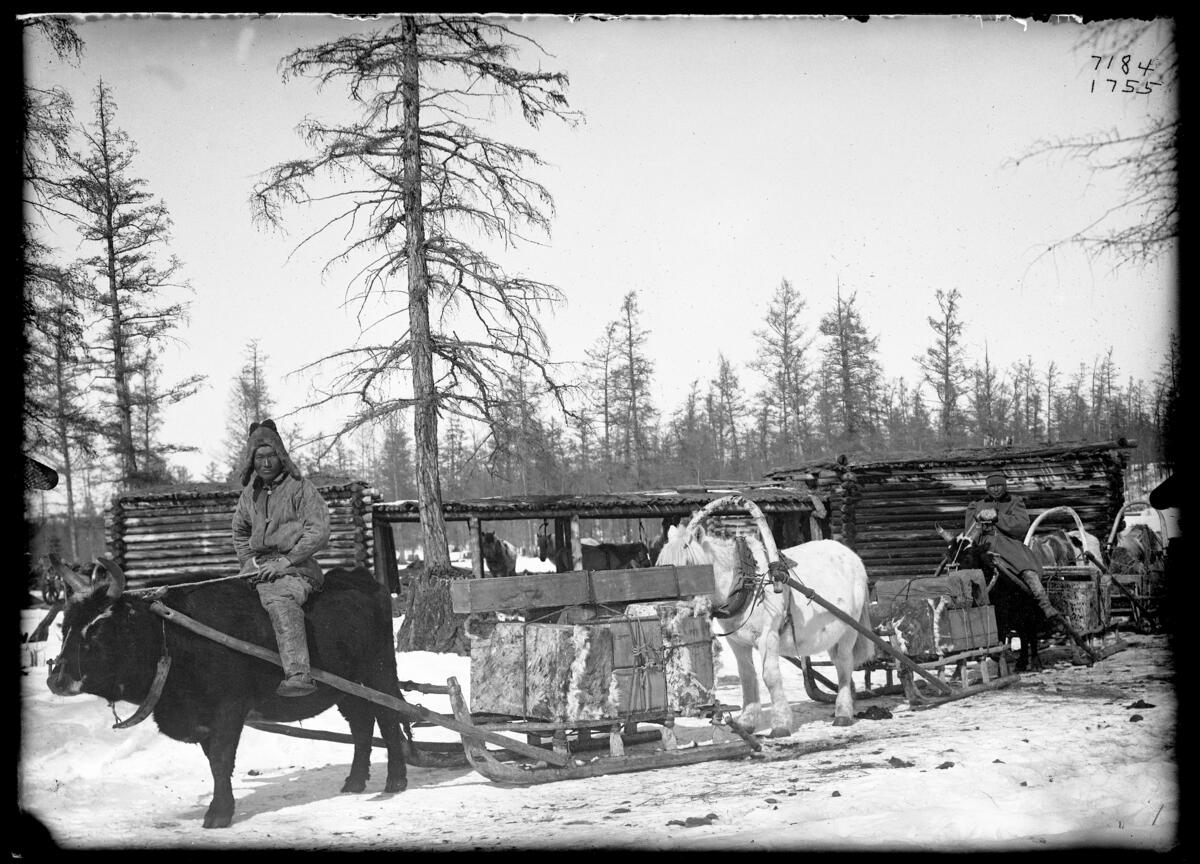 “Transporting Yakut collection items near Yakutsk.” AMNH Special Collections, Photographic Negative Collection, 5 x 7: 1755. Photographer: Waldemar Jochelson. 